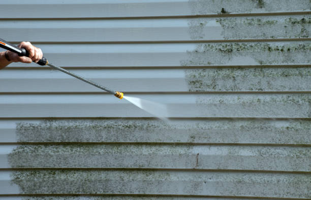 Certified Mold Removal in Trinidad, CO