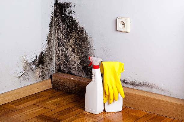 Water Damage Restoration in Trinidad, CO